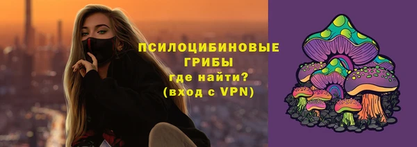 spice Бронницы