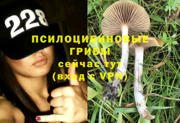 молекула духа Волоколамск