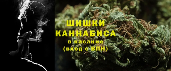 трава Бородино
