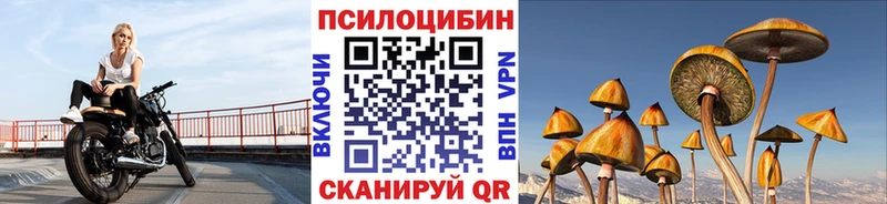 Галлюциногенные грибы Psilocybine cubensis  Завитинск 