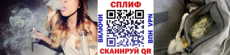 Канабис сатива  Завитинск 